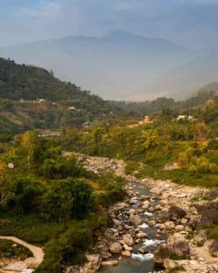 Forest Paths and Mountain A Cozy Break In Bir Billing