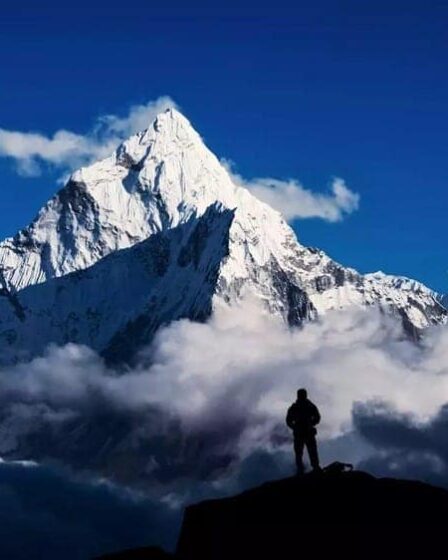 Francy Arsentiev Face